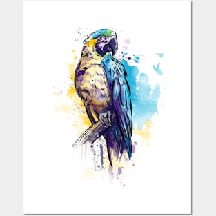 Parrot Watercolor Posters and Art